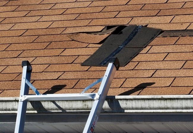 Leaky roof, Need Help? Call the Experts at All Out Roofing If you're unsure about the damage or don't feel safe climbing on your roof, let us handle it. We offer free, no-obligation roof inspections to help you determine the best course of action.