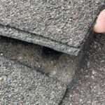 wind damaged shingles in Cypress Texas